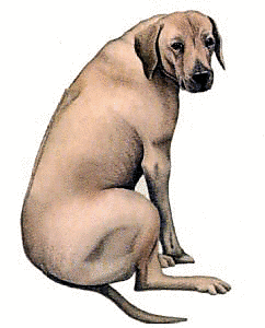 Dogs Clip Art Download.