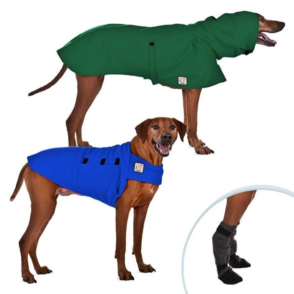Rhodesian ridgeback clipart 20 free Cliparts | Download images on ...