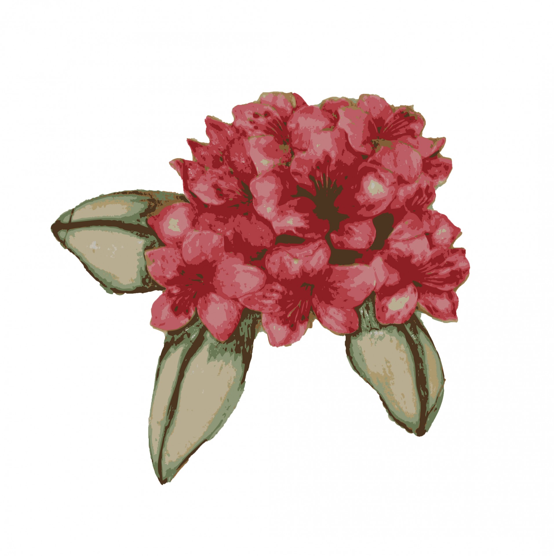 Flower Clipart Free Stock Photo.