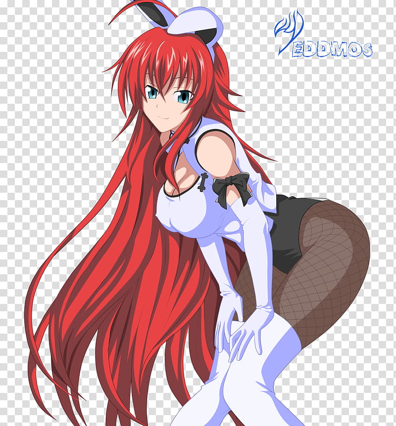 Bunny Rias Gremory, female anime character illustration.