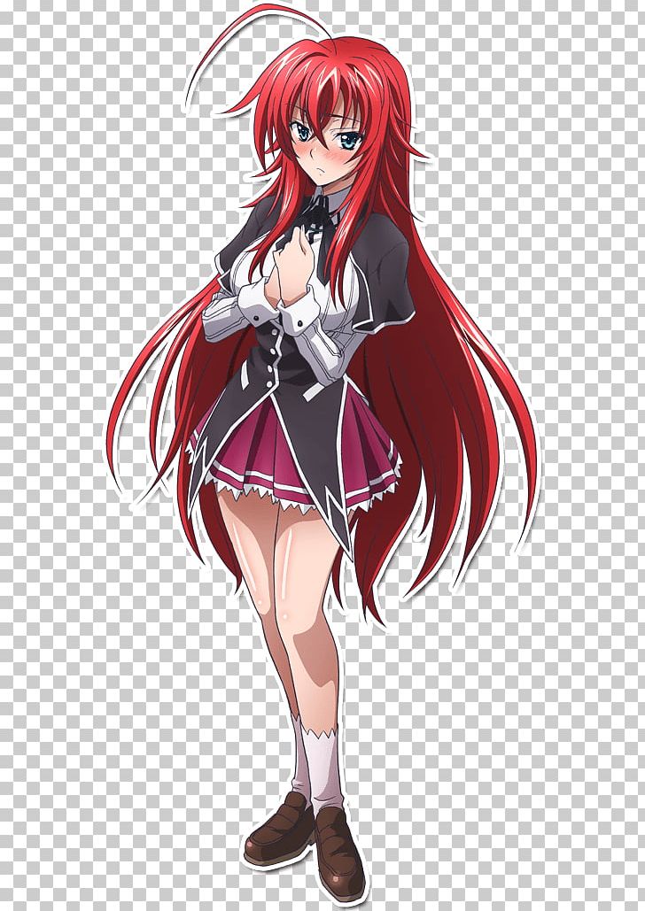 Rias Gremory High School DxD 12: Heroes Of Tutoring.