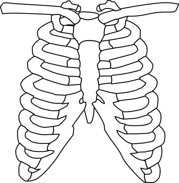 Ribs Clipart.