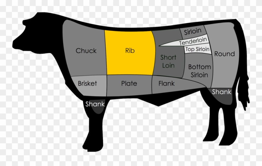 The Rib Section Of Beef Spans From Ribs Six Through.