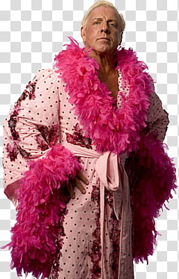 Ric flair transparent background PNG clipart.