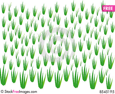 Rice fields clipart.