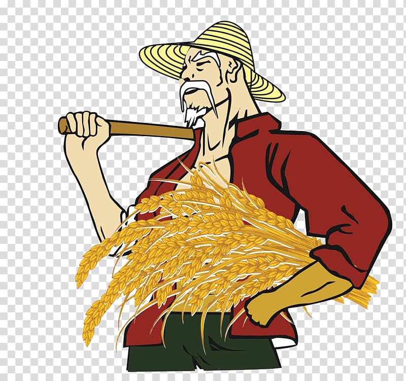 Farmer , Rice harvest for the elderly transparent background.