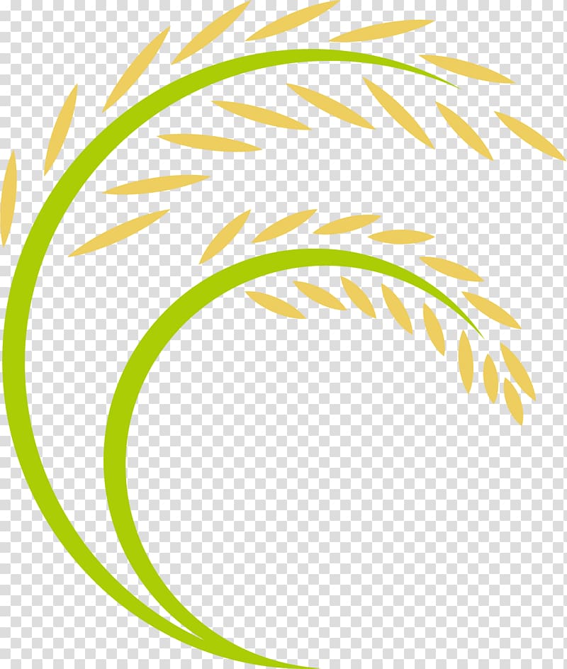 Yellow and green wheat , Rice Logo, Cartoon rice ears.