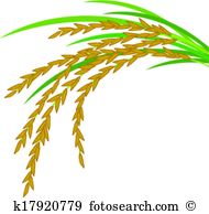 Rice plant Clip Art Illustrations. 1,319 rice plant clipart EPS.