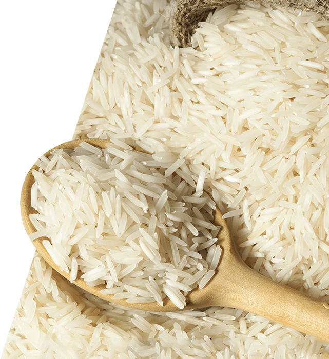 Rice PNG Image.