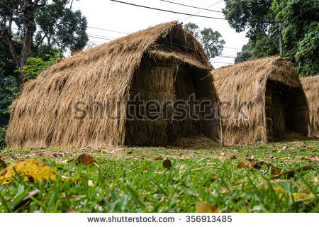 Thatched.