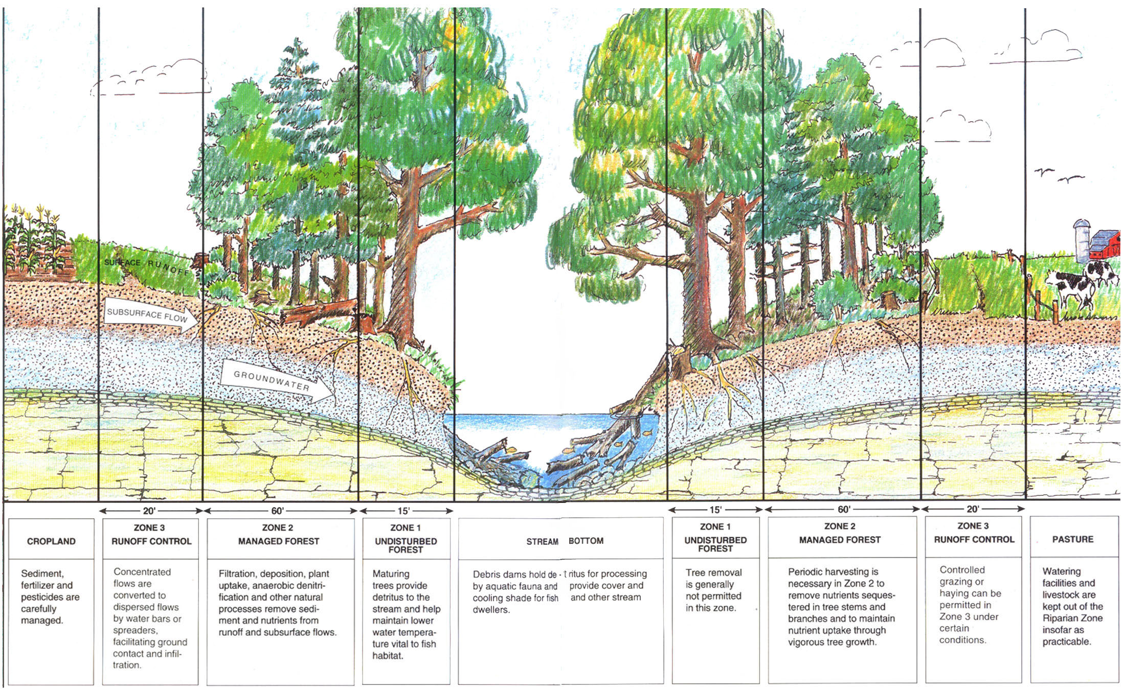 riparian-zone-clipart-20-free-cliparts-download-images-on-clipground-2023