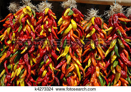 Stock Photo of Multi colored chili ristras k4273324.