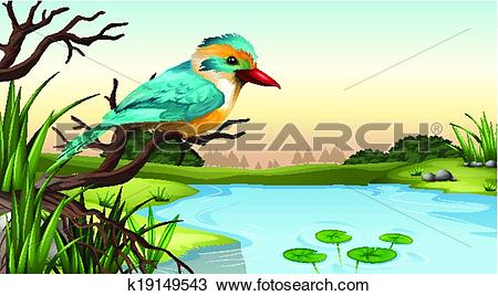 Clipart of A river kingfisher k19149543.