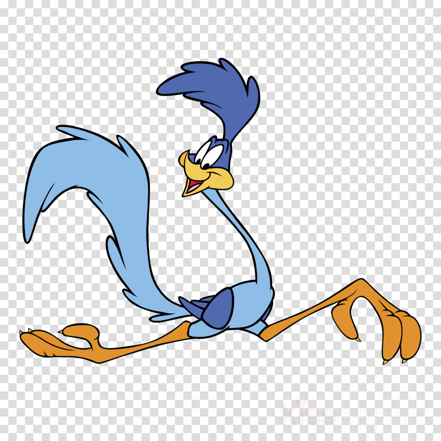 road runner cartoon