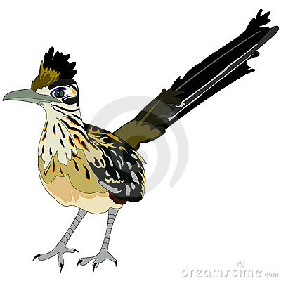 roadrunner bird clipart 20 free Cliparts | Download images on