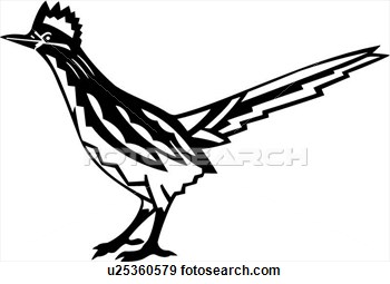 roadrunner bird clipart 20 free Cliparts | Download images on