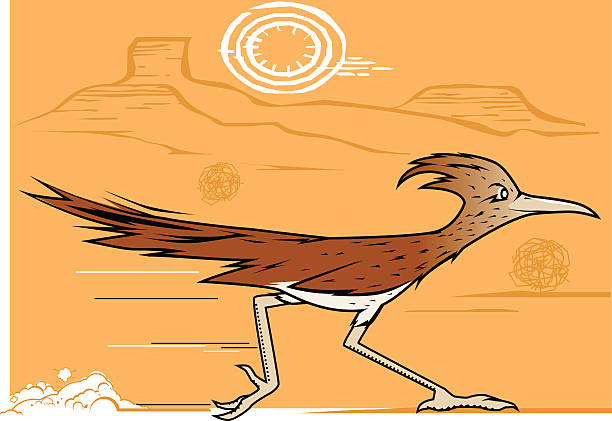 roadrunner bird clipart 20 free Cliparts | Download images on