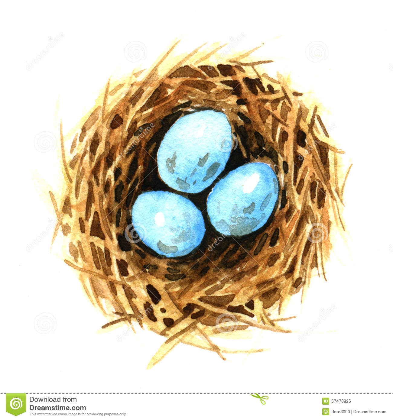 Birds nest with eggs clipart.