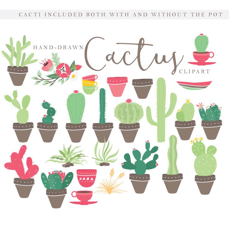 17 best ideas about Cactus Clipart on Pinterest.
