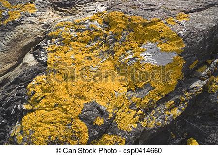 Stock Photography of lichen rock.