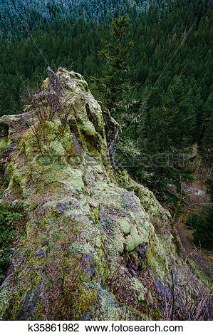 Stock Photo of Oregon Rock Outcropping in Forest k35861982.