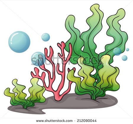 Rock plants clipart 20 free Cliparts | Download images on Clipground 2024