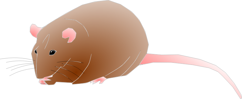 Free to Use & Public Domain Rodent Clip Art.