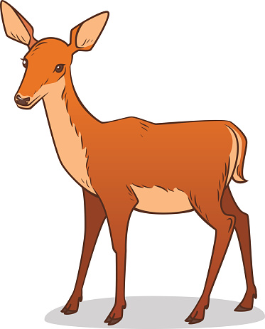 Roe deer clipart 20 free Cliparts | Download images on Clipground 2022