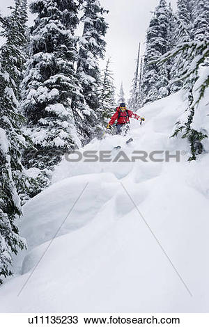 Stock Photo of Skier in deep powder; Canada, British Columbia.