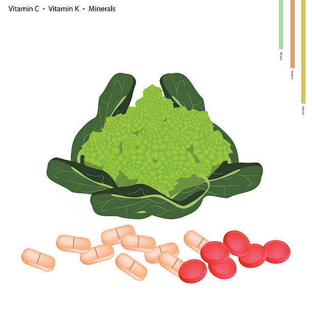 Chou Romanesco Clip Art, Vector Images & Illustrations.