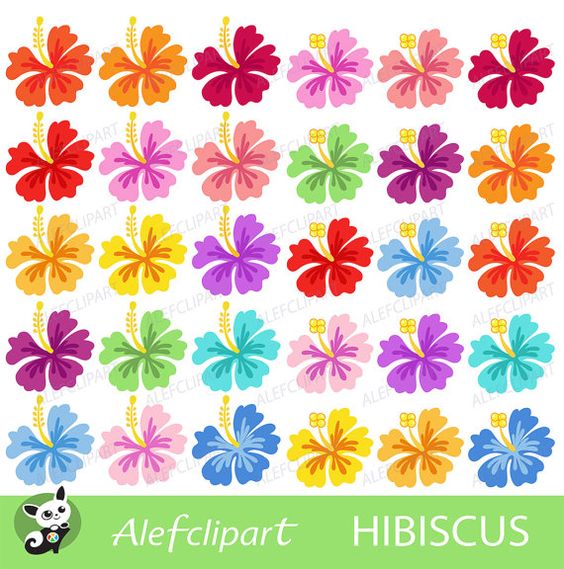 Hibiscus clipart Hibiscus Digital Clipart Hawaiian by Alefclipart.