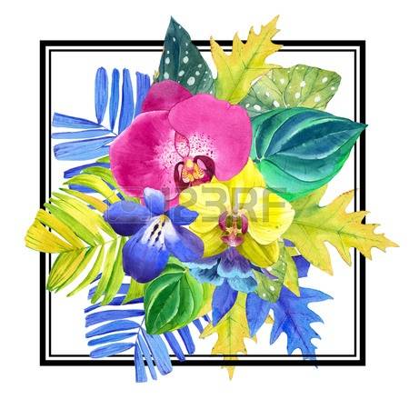 374 Begonia Stock Vector Illustration And Royalty Free Begonia Clipart.
