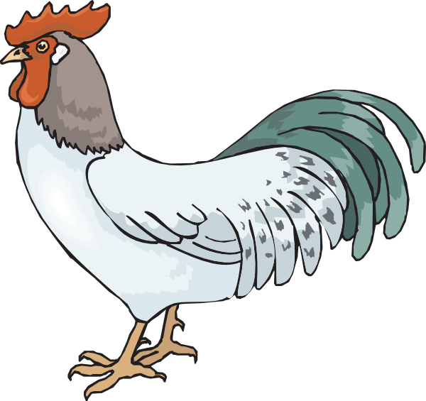 Rooster Clipart.