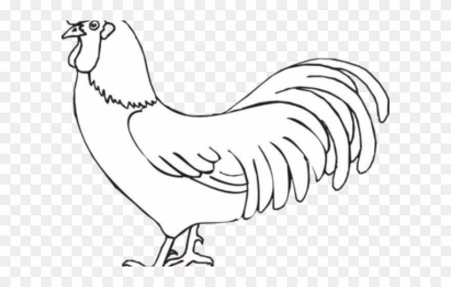 Rooster Clipart Rooster Outline.