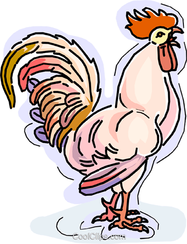 Rooster crowing Royalty Free Vector Clip Art illustration.