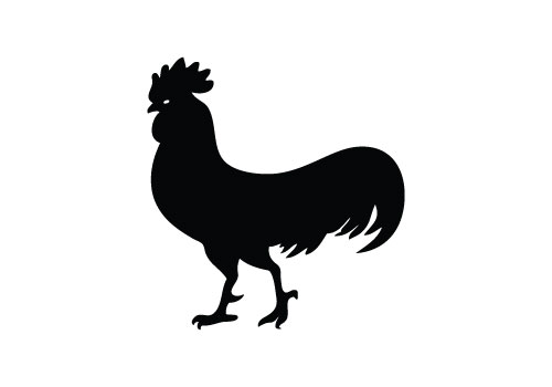 rooster head outline clipart 20 free Cliparts | Download images on ...
