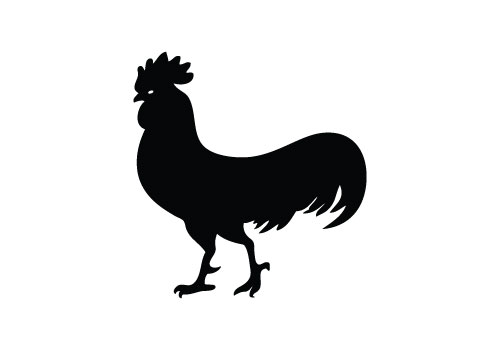 Download rooster head outline clipart 20 free Cliparts | Download images on Clipground 2021