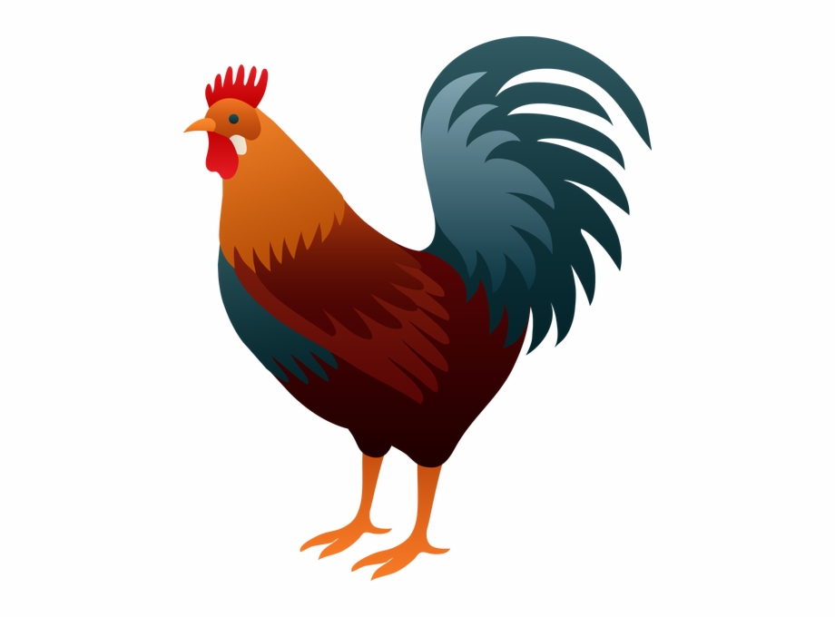 Rooster.