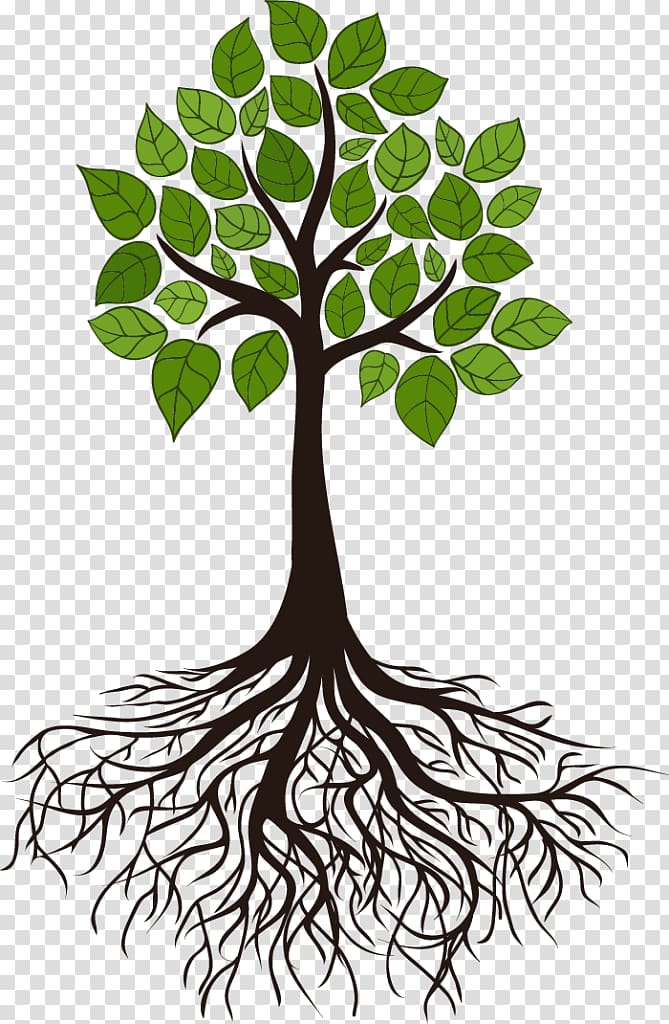 Green leaf tree digital illustration, Tree Root Branch.