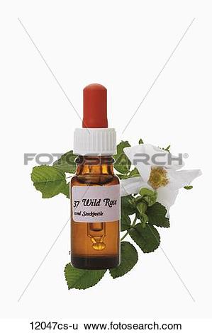 Stock Images of Bottle with Bach Flower Stock Remedy, Wild Rose.