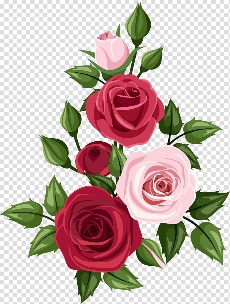 Rose Art Drawing , rose transparent background PNG clipart.