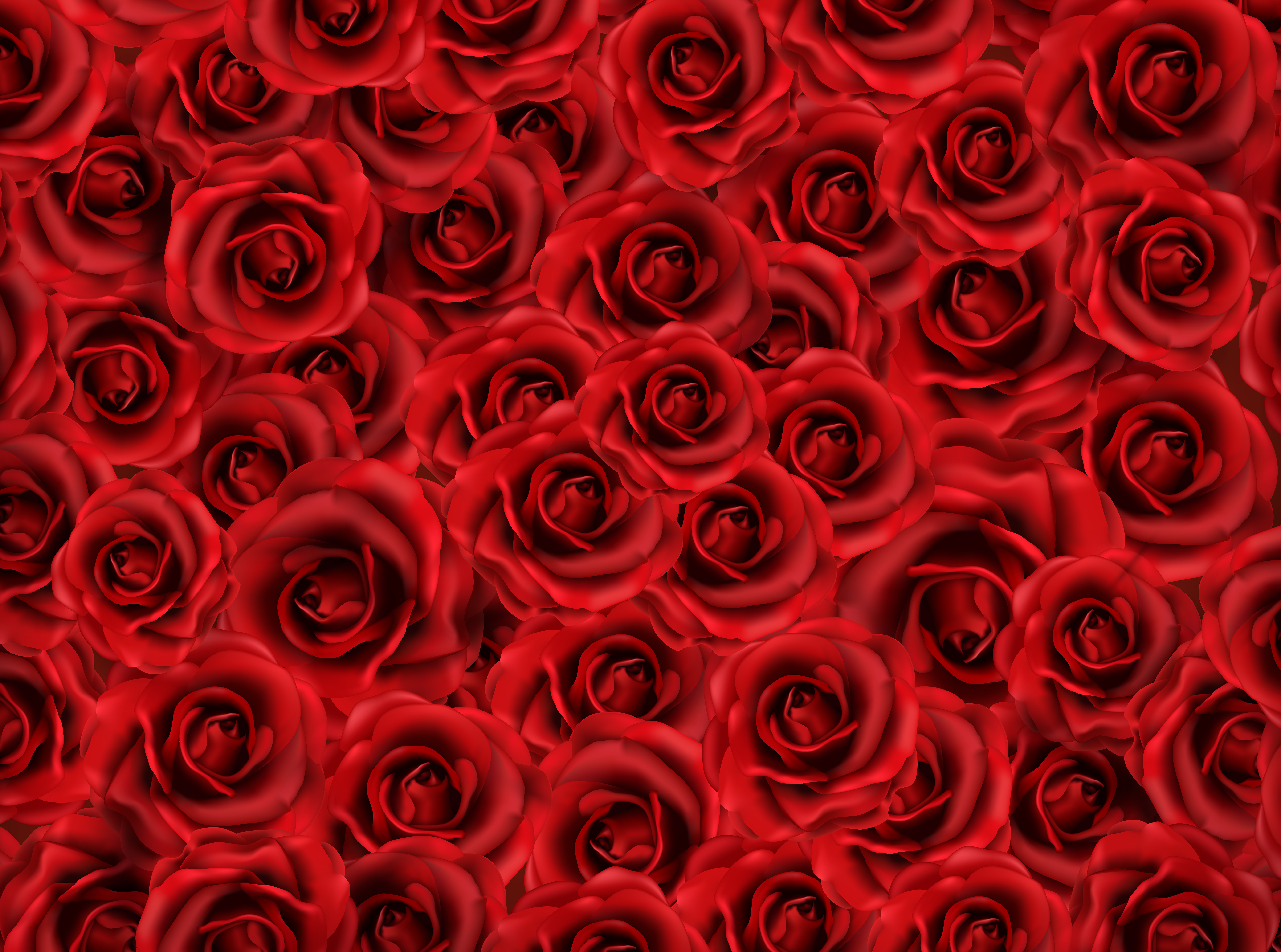 Red Roses Background.