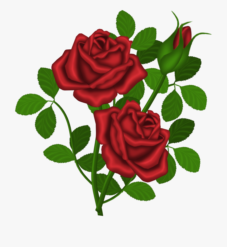 Rose Bush Clipart Dozen Red Roses.