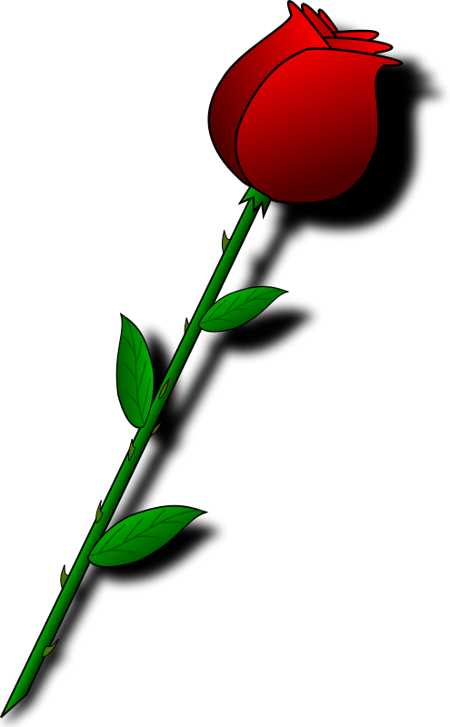 Rose bud clipart » Clipart Station.