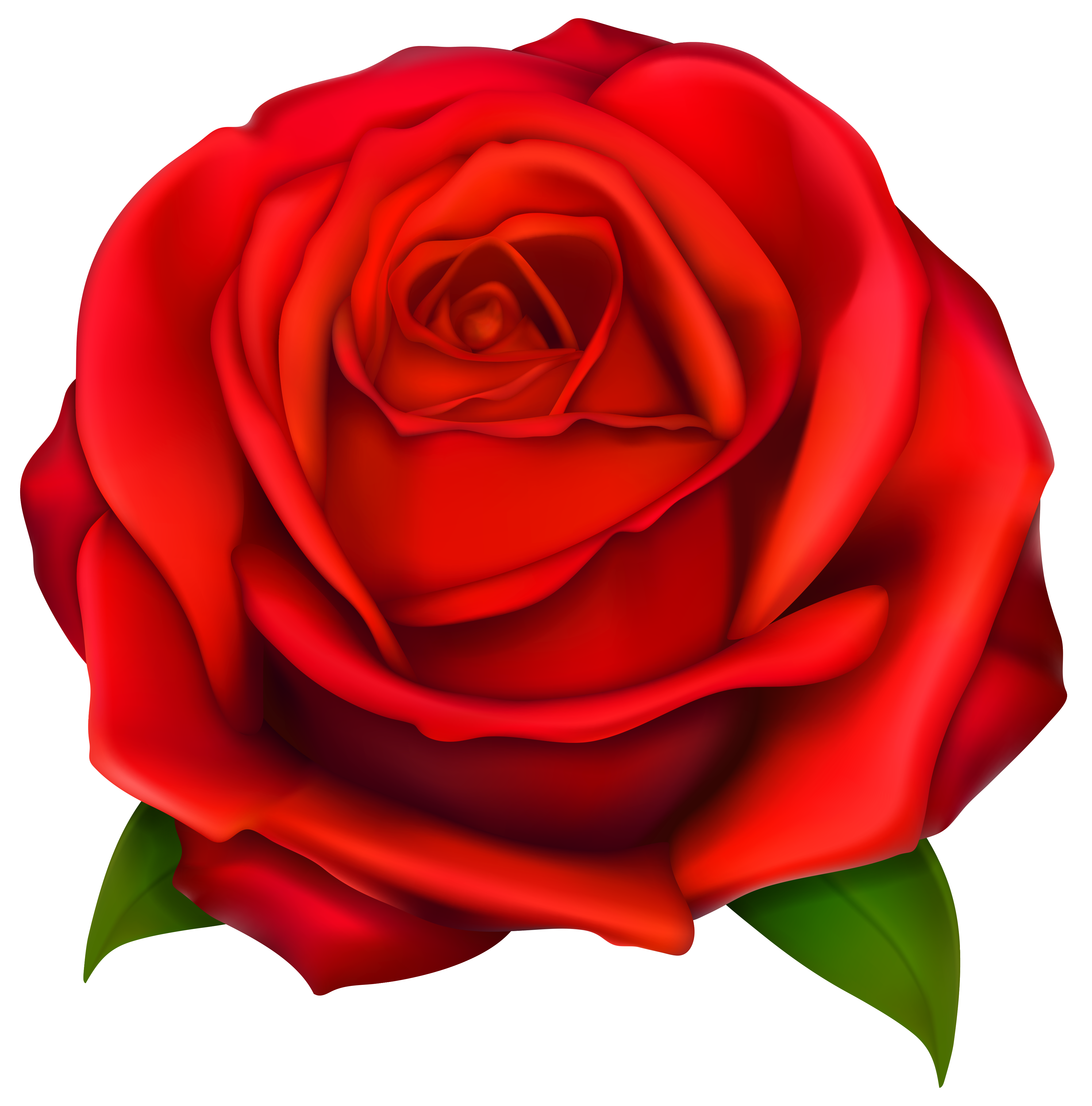 Image of clip art red rose 2 red roses clip art images free.