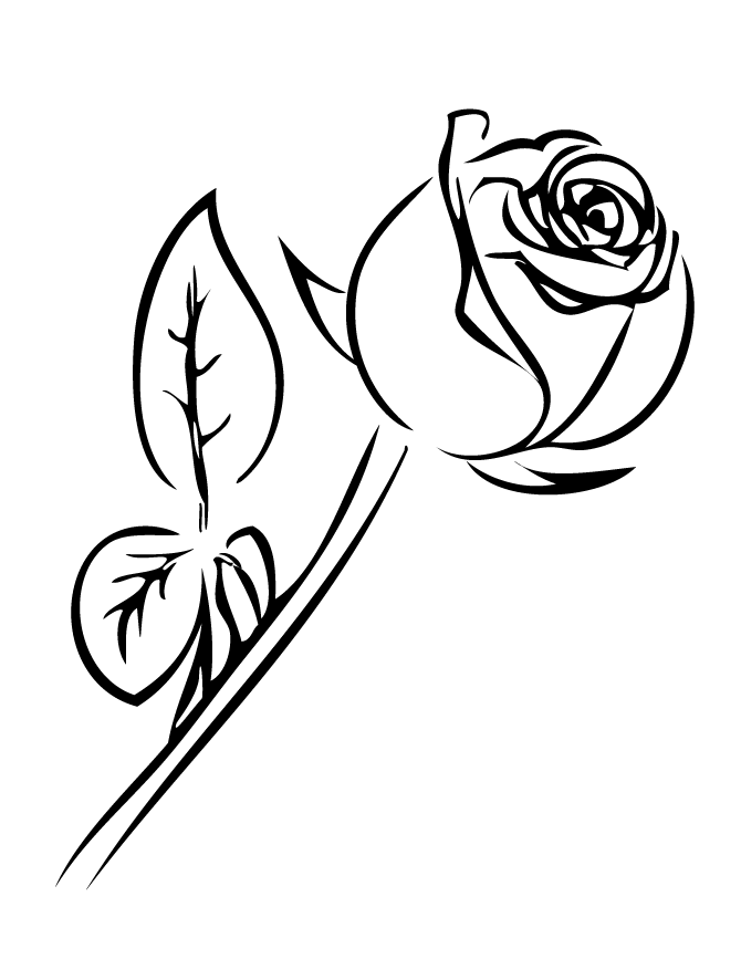 Rose color clipart 20 free Cliparts Download images on