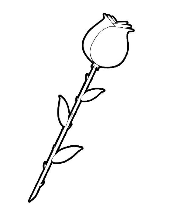 Rose Color Clipart 20 Free Cliparts Download Images On Clipground 2022