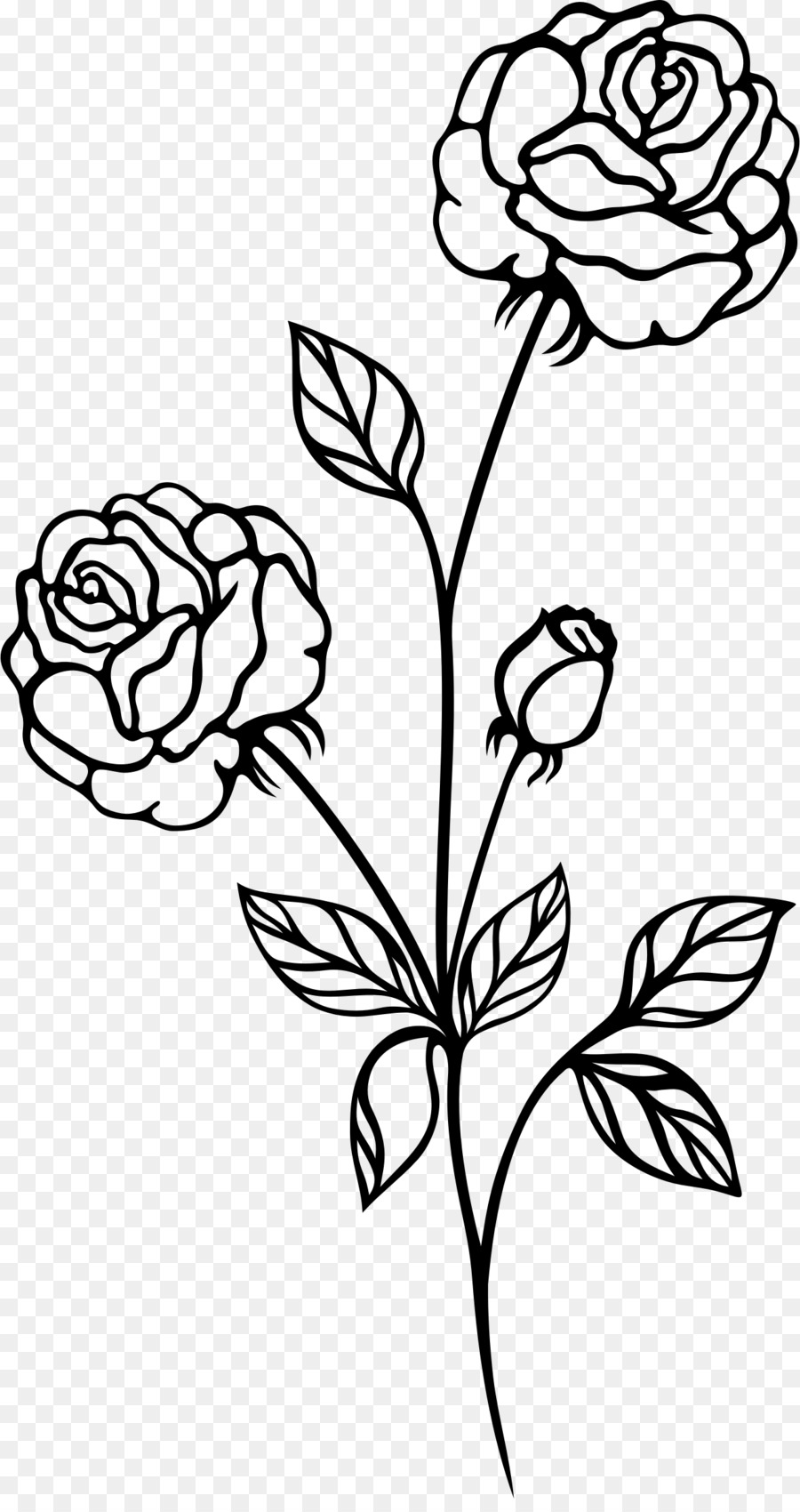 Black Rose Drawing.