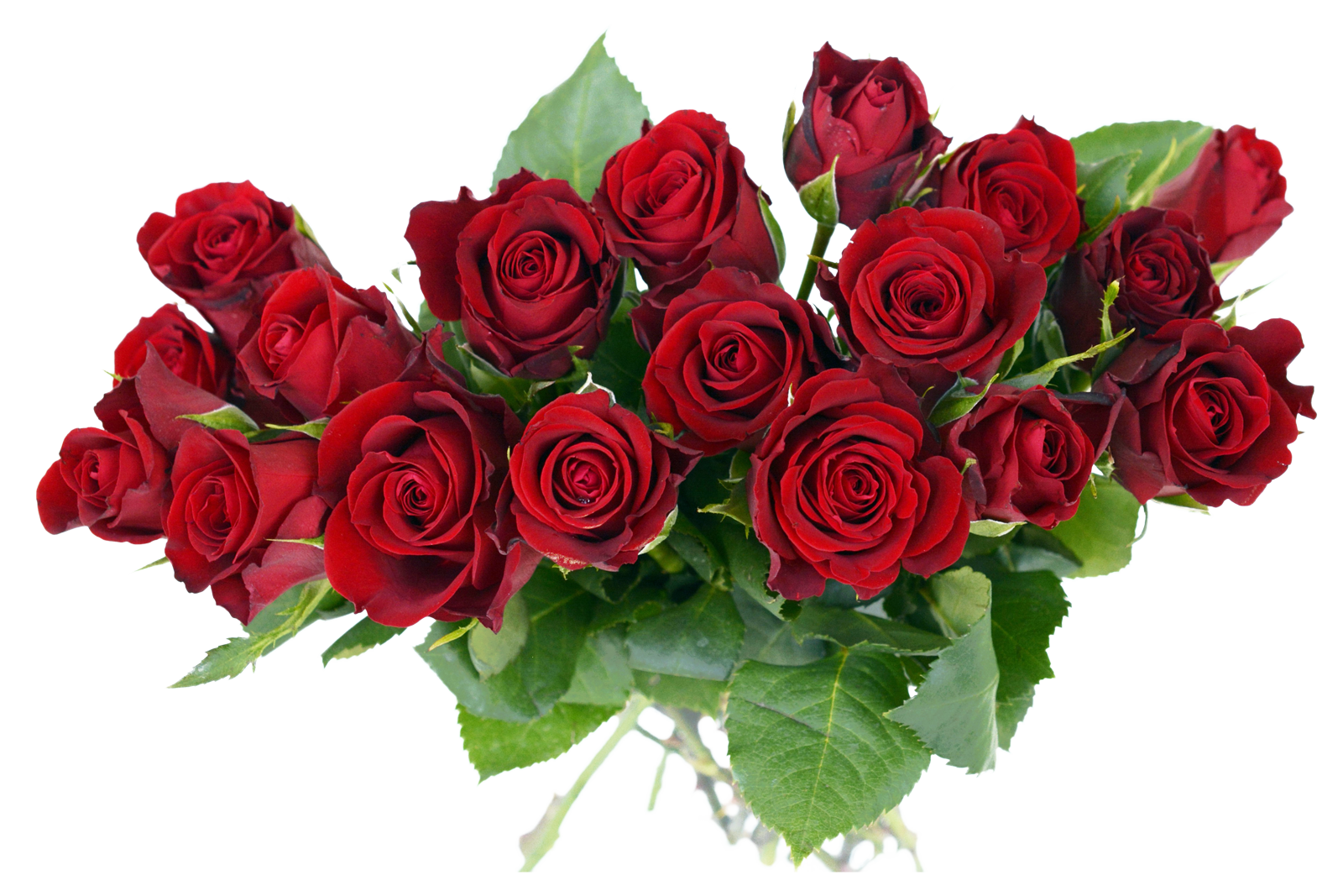 Rose Bouquet PNG Image.