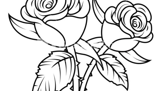 Rose Black And White Clipart.